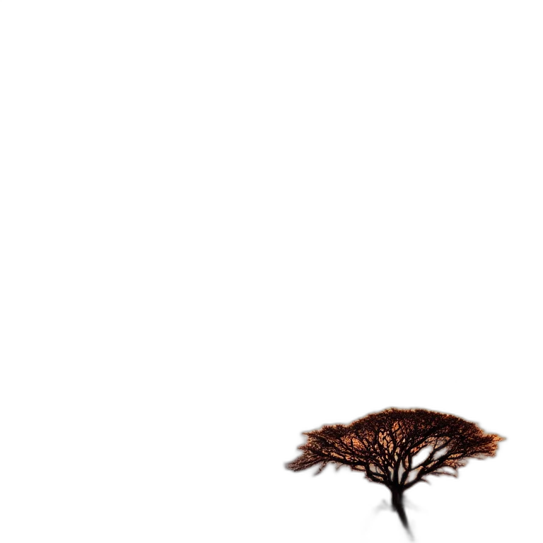 tree, hair, animal, crown transparent PNG cut-out