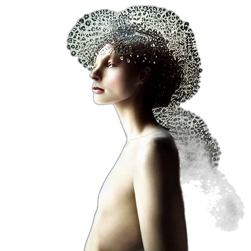 hat, crown, hair, jewelry transparent PNG cut-out