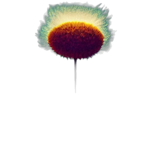 flower, hair, umbrella, staff transparent PNG cut-out