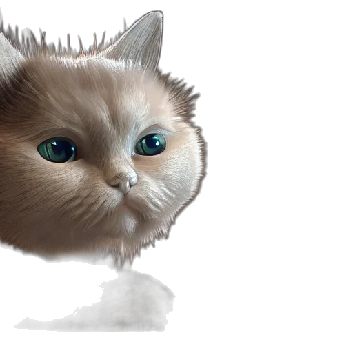 creature, animal, hair, face transparent PNG cut-out