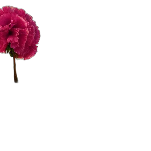 flower, crown, umbrella, staff transparent PNG cut-out