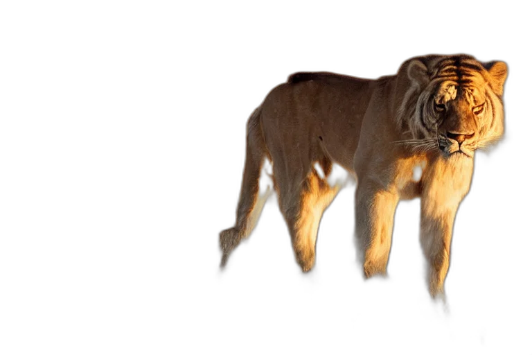 animal, creature, staff, weapon transparent PNG cut-out
