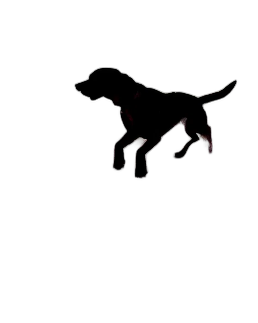 animal, creature, dragon, staff transparent PNG cut-out
