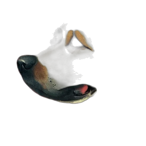 animal, mask, creature, hat transparent PNG cut-out