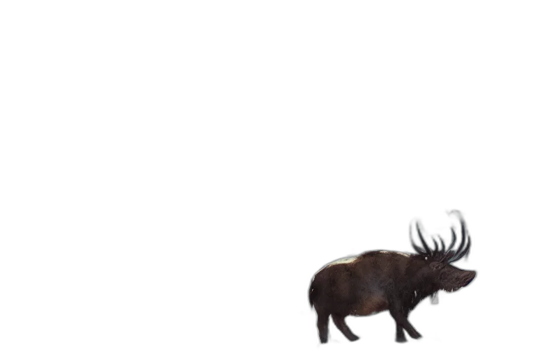 animal, creature, dragon, hair transparent PNG cut-out
