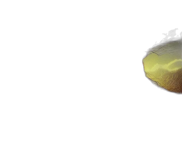 mask, food, shoes, hair transparent PNG cut-out