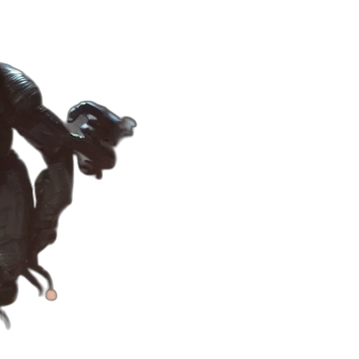 creature, dragon, animal, concept art transparent PNG cut-out