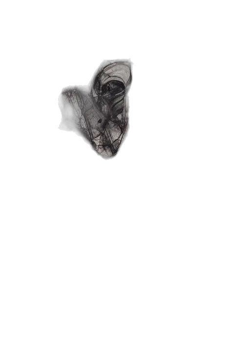 mask, hair, shoes, face transparent PNG cut-out