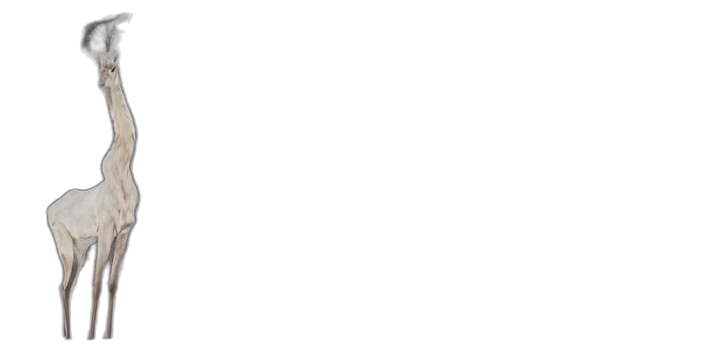 staff, face, monochrome, pastel transparent PNG cut-out