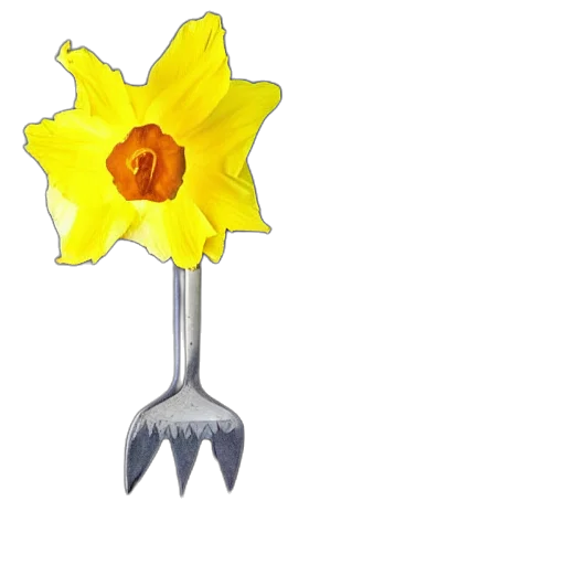 flower, weapon, staff, crown transparent PNG cut-out