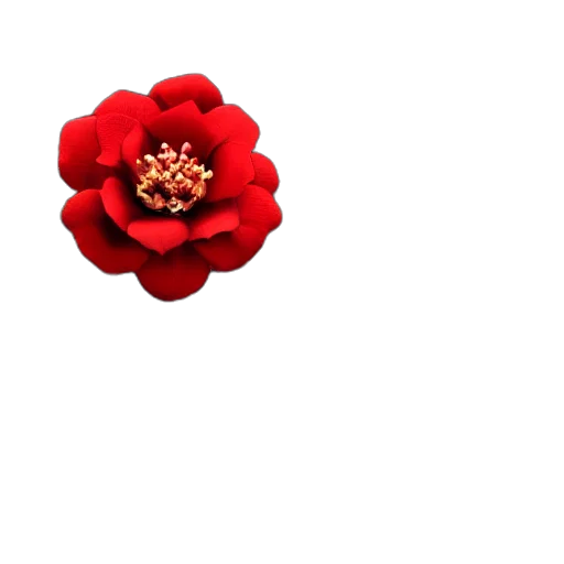 flower, crown, jewelry, staff transparent PNG cut-out