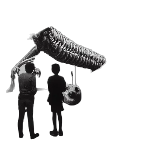 hair, weapon, furniture, umbrella transparent PNG cut-out