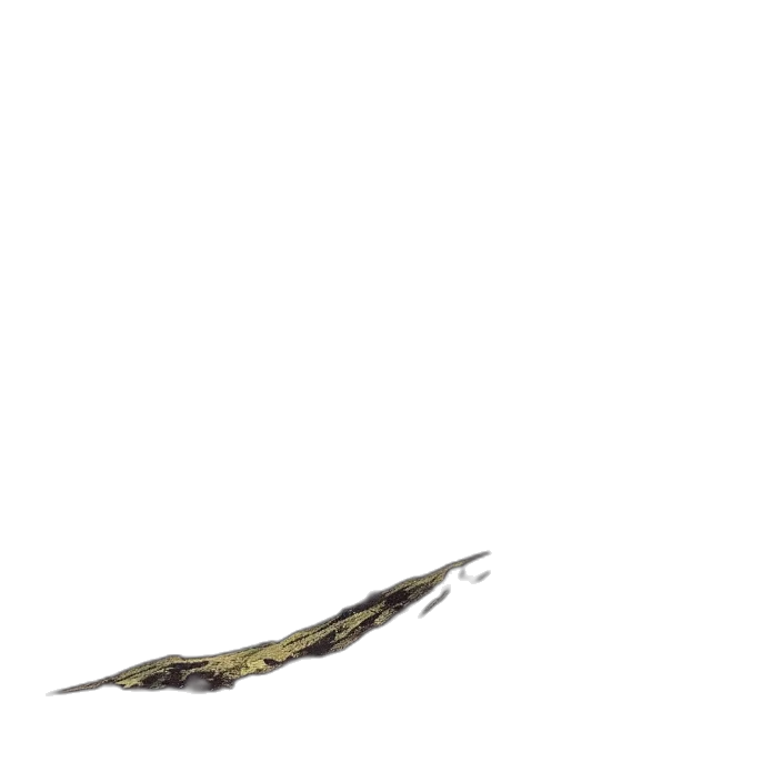 staff, dragon, sword, weapon transparent PNG cut-out