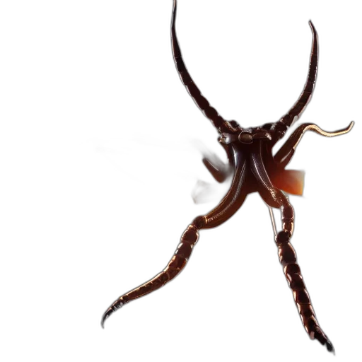 hair, creature, crown, animal transparent PNG cut-out