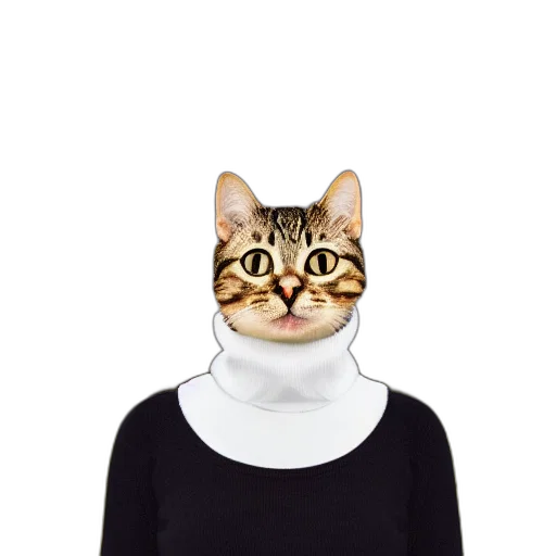 mask, hat, animal, dress transparent PNG cut-out