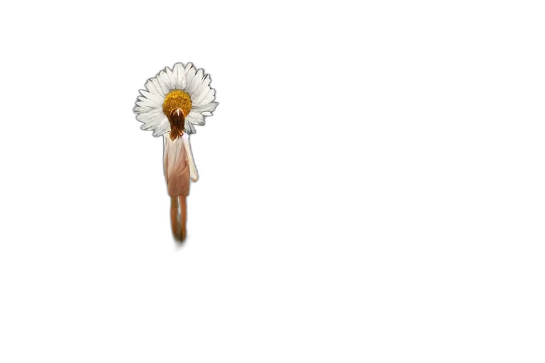 hair, flower, crown, staff transparent PNG cut-out