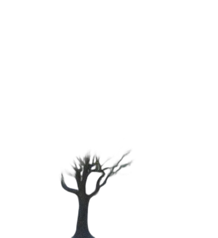 tree, staff, creature, crown transparent PNG cut-out
