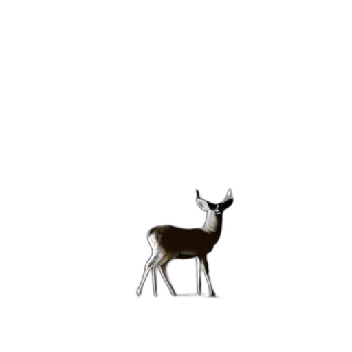 animal, creature, crown, furniture transparent PNG cut-out