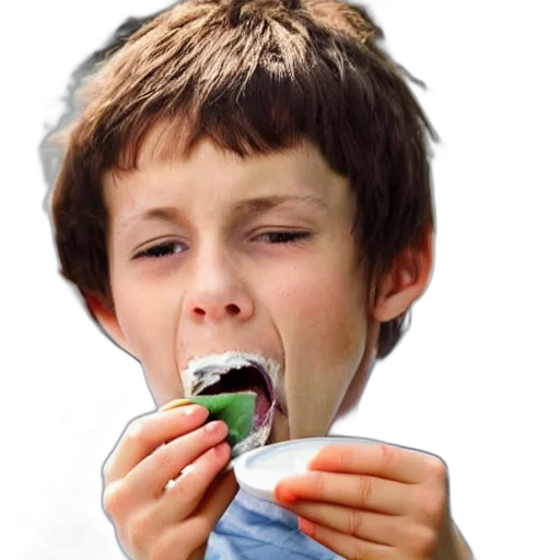 food, creature, face, animal transparent PNG cut-out