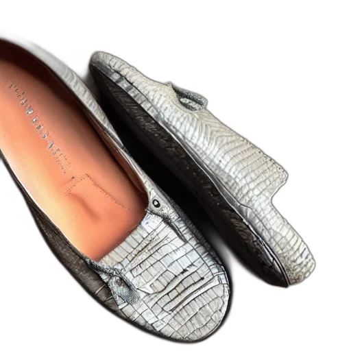 shoes, 3d render, peppa, croc transparent PNG cut-out