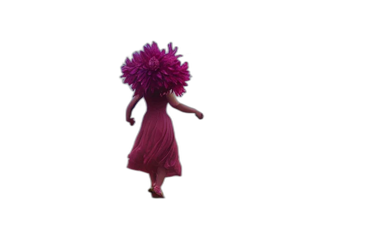 dress, hair, flower, creature transparent PNG cut-out