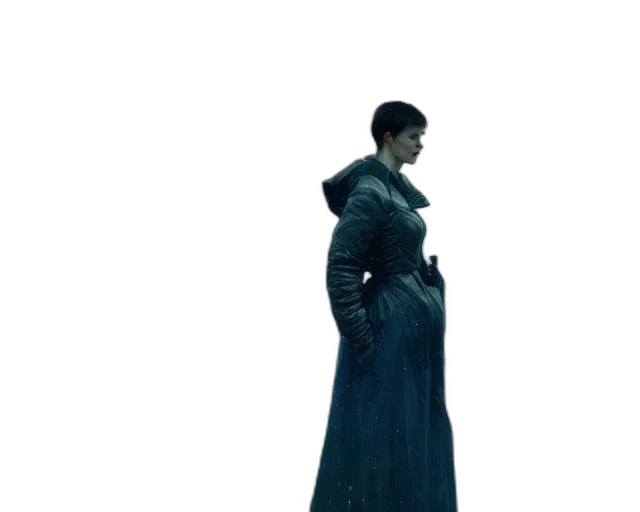 dress, jacket, sword, staff transparent PNG cut-out