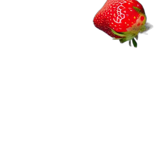 food, animal, flower, hat transparent PNG cut-out