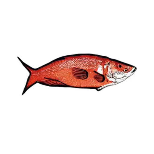 animal, food, staff, creature transparent PNG cut-out