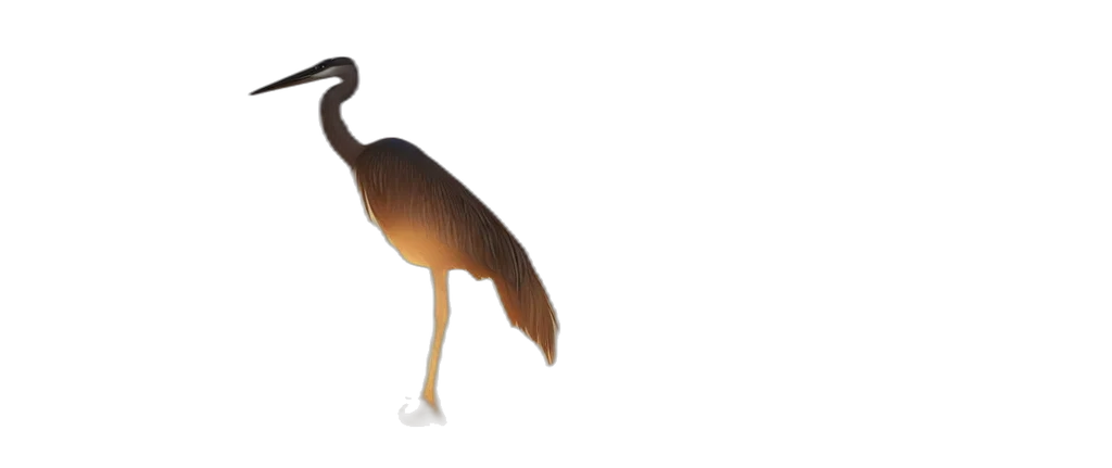 animal, creature, hat, staff transparent PNG cut-out