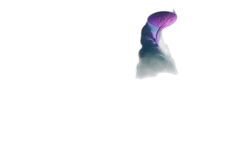 dragon, creature, hat, mask transparent PNG cut-out
