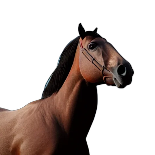 animal, creature, face, hair transparent PNG cut-out