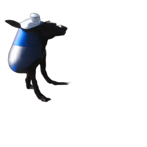 hat, animal, robot, creature transparent PNG cut-out