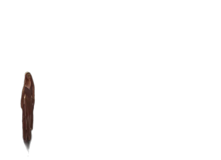 jacket, dress, furniture, staff transparent PNG cut-out