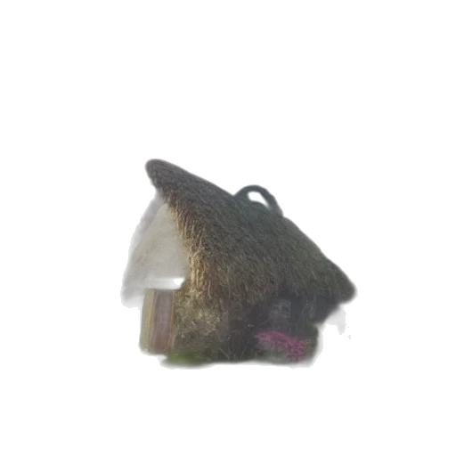 hat, animal, creature, food transparent PNG cut-out