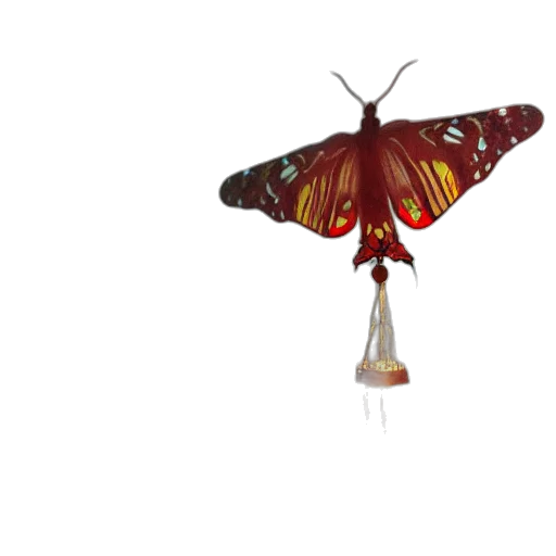 animal, umbrella, creature, crown transparent PNG cut-out