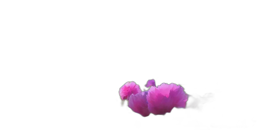 flower, hair, dragon, crown transparent PNG cut-out