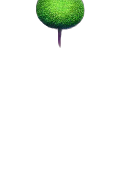 staff, sword, weapon, hair transparent PNG cut-out