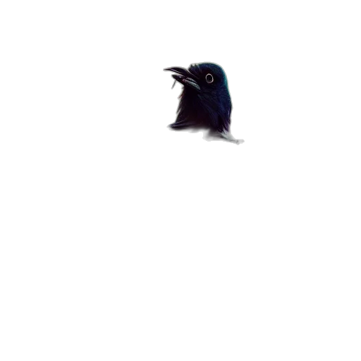 animal, creature, hair, staff transparent PNG cut-out