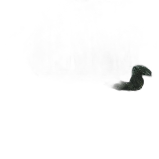 dragon, animal, weapon, shoes transparent PNG cut-out