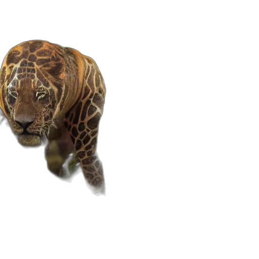 animal, creature, jewelry, 3d render transparent PNG cut-out