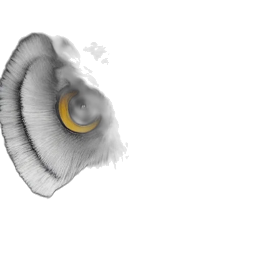 mask, hair, face, creature transparent PNG cut-out