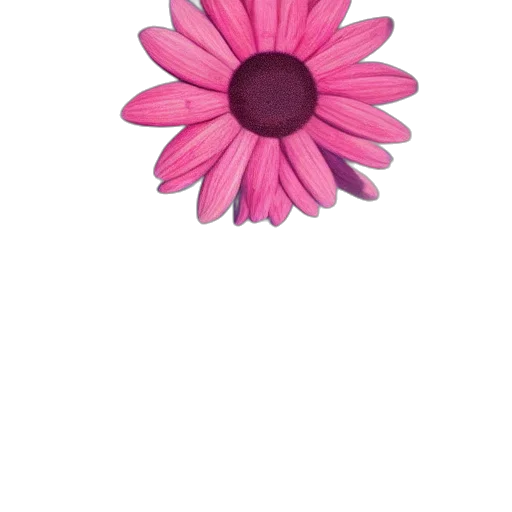 flower, jewelry, crown, staff transparent PNG cut-out
