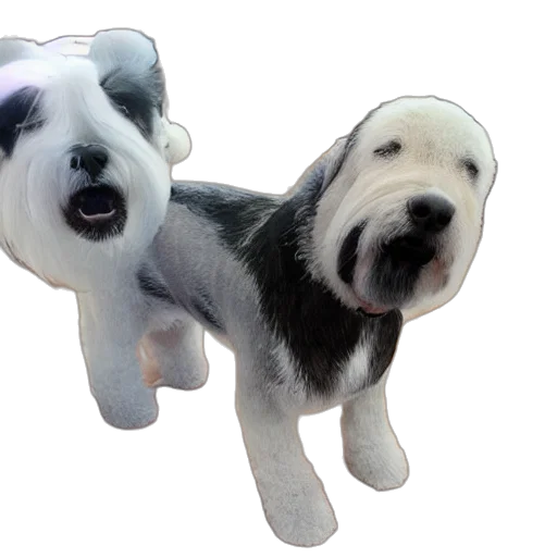 animal, staff, 3d render, photorealistic transparent PNG cut-out