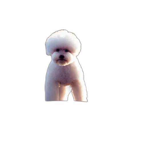 animal, creature, staff, robot transparent PNG cut-out