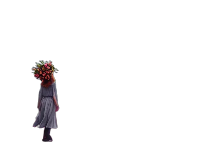 flower, dress, crown, hair transparent PNG cut-out