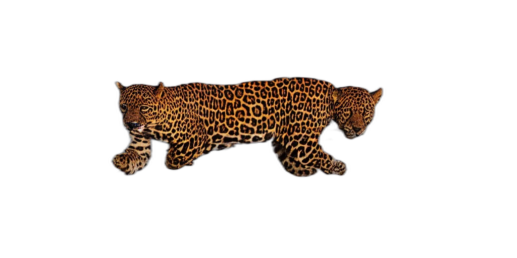 animal, staff, creature, jewelry transparent PNG cut-out