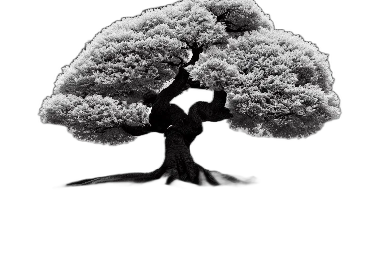 tree, crown, hair, staff transparent PNG cut-out