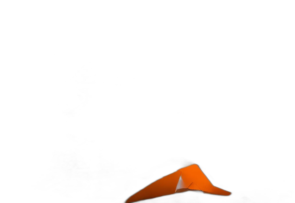hat, shoes, staff, umbrella transparent PNG cut-out