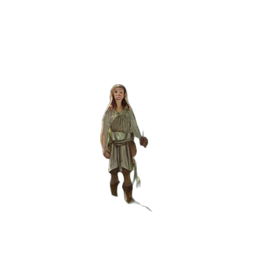 staff, weapon, jacket, sword transparent PNG cut-out