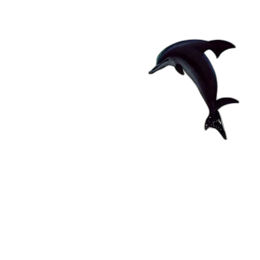 dragon, animal, umbrella, creature transparent PNG cut-out